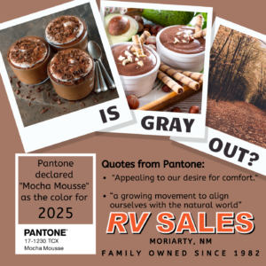 Pantone Color 2025 Mocha Mousse! 